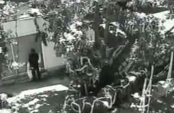 Na dan vjenčanja muža prevarila s kumom (Video)