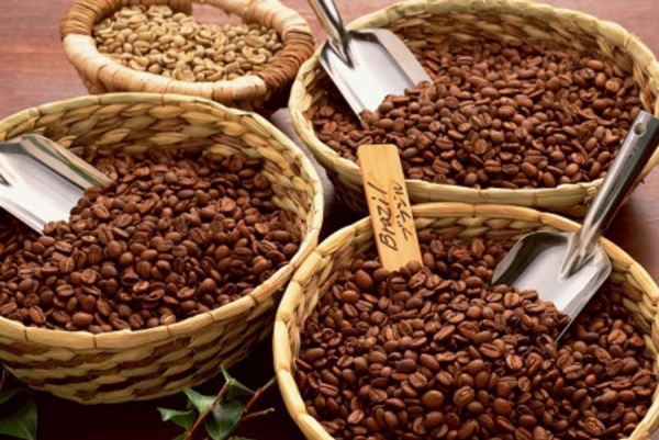 Očekuje se rekordan rod kafe robusta