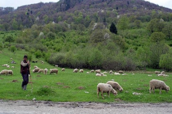 Dva leša pronađena u kući koju koriste čobani