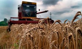 Šef FAO: Cijene hrane nestabilne i ove godine