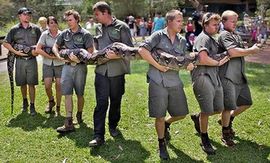 Debeli piton iz australijskog zoološkog vrta mora na dijetu