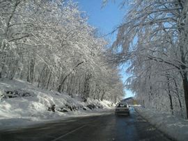 Neprohodni svi lokalni putevi