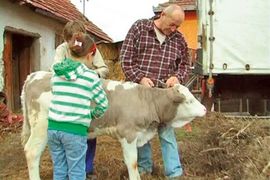 Rođena i četvrta ljubičasta milka