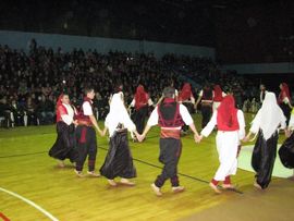 Održan humanitarni koncert za transplantaciju srca  Aladina Bašića