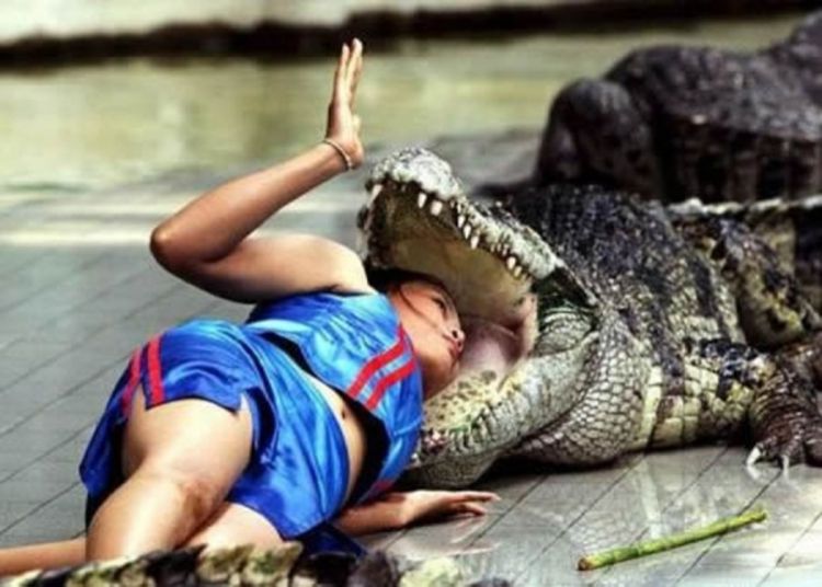 Krokodil pojeo djevojčicu