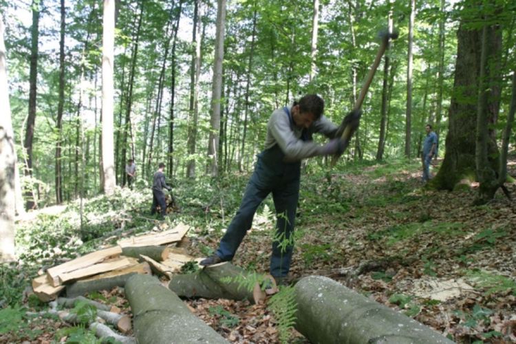Direktorima prijete smjene ukoliko ne budu u plusu