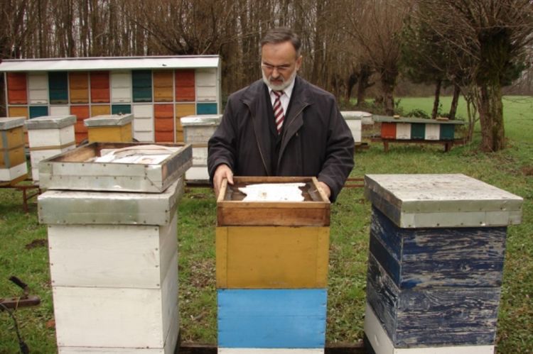 Počela registracija pčelinjaka
