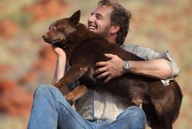 Film o psu koji ujedinjuje grad najbolji u Australiji (Video)