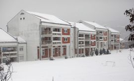 Bez roditeljskog staranja 105 mališana