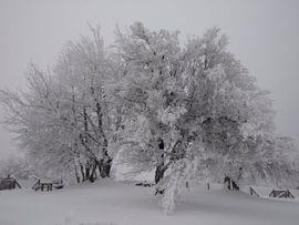 Na Trebavi i Vučijaku 80 centimetara snijega