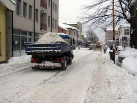 Snijeg u Zvorniku: Brinu i o ljudima i o životinjama (FOTO)