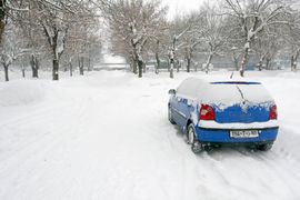 Svega petnaestak vozila na prodaju