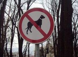 Izdata 24 prekršajna naloga zbog nepropisnog vođenja pasa