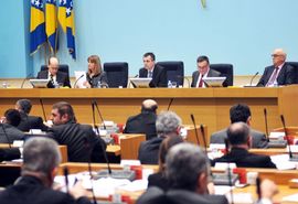 Radojičić: Zahtjev PDP-a šteti RS