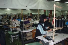 Upitan dalji rad Novoteksa