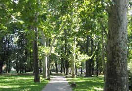 Bijeljina: Grupa građana zaključala ulaze u park