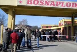 Radnici Bosnaploda nastavili štrajk