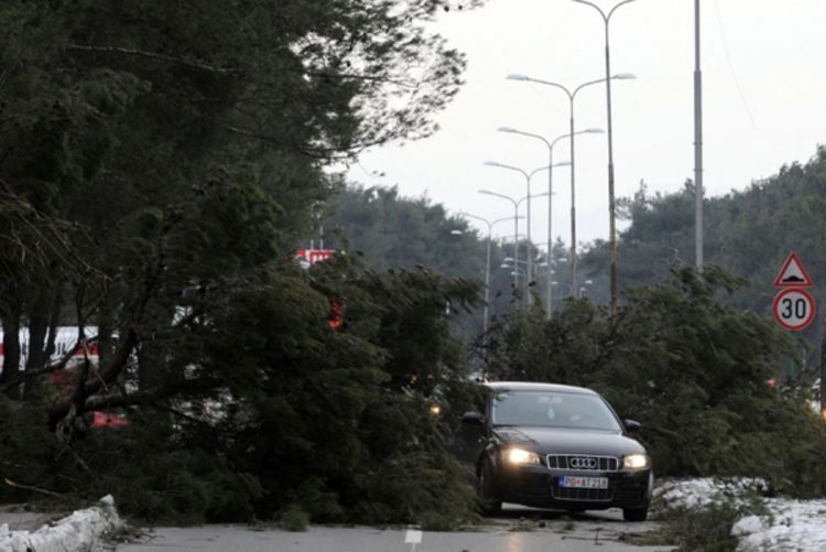 Vjetar uništio stotine stabala