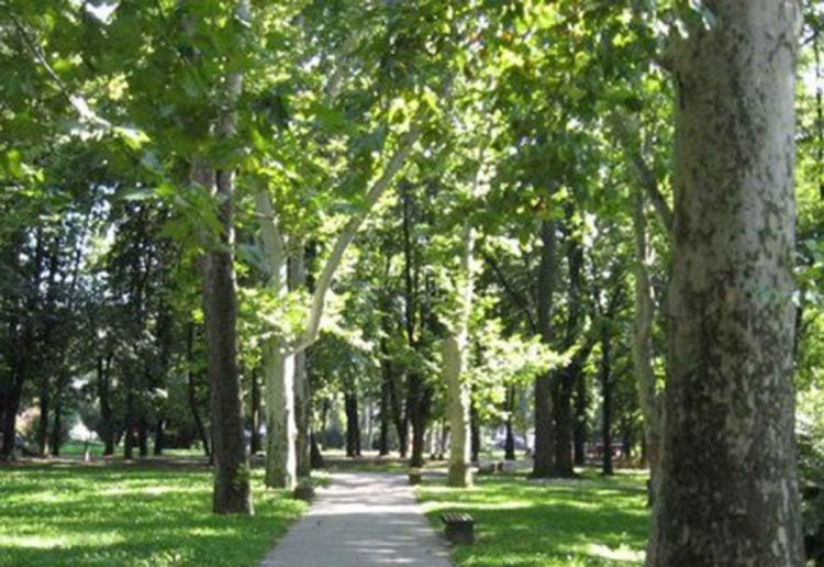 Bijeljina: Grupa građana zaključala ulaze u park