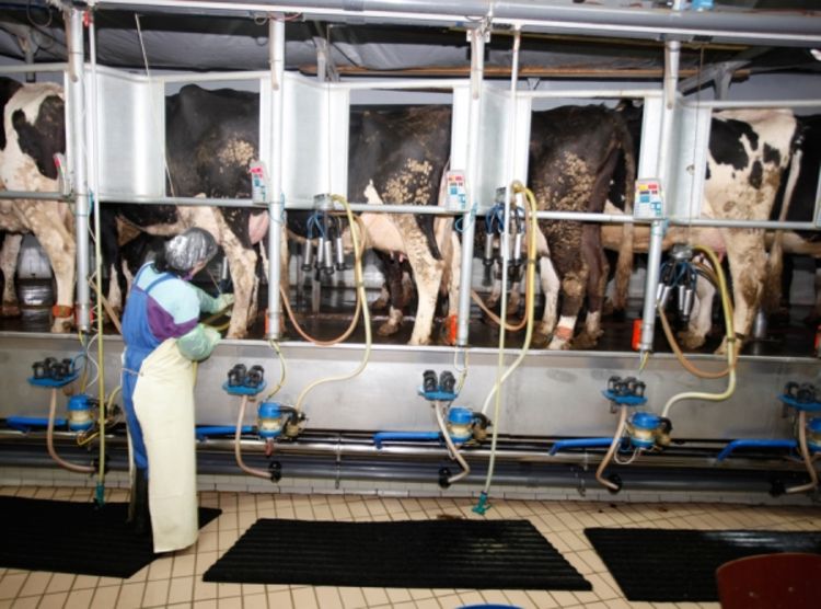 Radnici Farmlanda odustali od štrajka