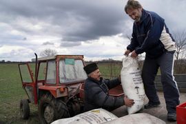 Za proljetnu sjetvu posijano 32.892 hektra