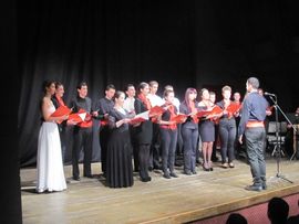 Održan  humanitarni koncert za liječenje trogodišnje Sare Džinić