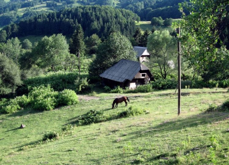 Dragutin jači od nedaća