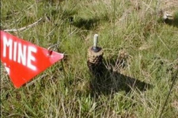Lukavac: Došli po drva a stradali od eksplozije odskočne mine