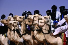 Tuarezi napreduju u Maliju, vojska bježi