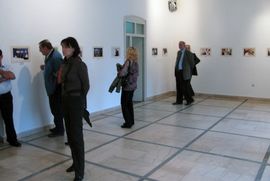 Otvorena izložba fotografija Srne