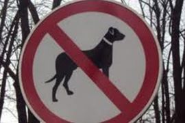 Banjaluka: Ukinuta zabrana izvođenja pasa u centar grada