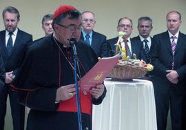 Izetbegović: Pretijesan fiskalni okvir