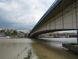 Skočio sa Brankovog mosta radi egzibicije