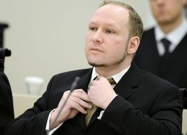 Radić: Pričom o Srbima Brejvik sebi diže cenu