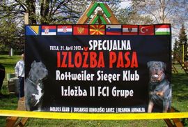 Međunarodna izložba pasa u Tuzli: Najljepši šnaucer, tornjak i ...