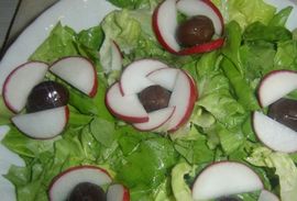 Zelena salata