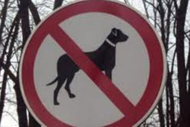 Banjaluka: Ukinuta zabrana izvođenja pasa u centar grada