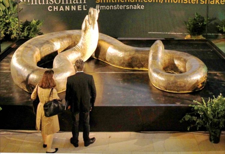 Prijeti povratak gigantske zmije (FOTO)