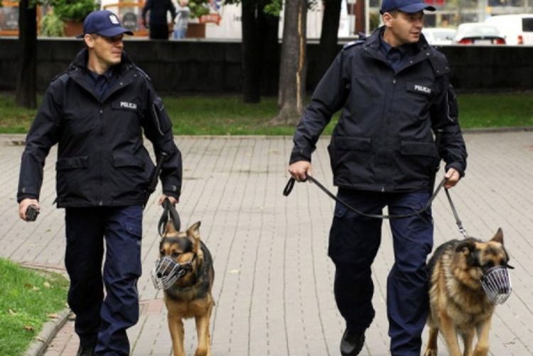 Razbijena banda švercera ljudi, uhapšeno 59 migranata