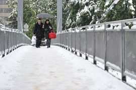 Zima u Sarajevu usred maja: Snijeg pade na behar, na voće