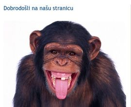 Majmun na stranici Federalne uprave za inspekcijske poslove