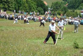 Bh. kosci treći na kladionici