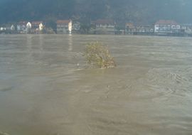Drina stagnira, korito puno