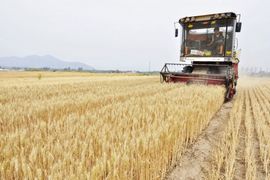 Kombajnom usmrtio četvoro, ranio 10 ljudi