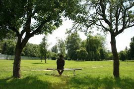 Davidović: Park ili građevinski kompleks - stvar ličnog utiska