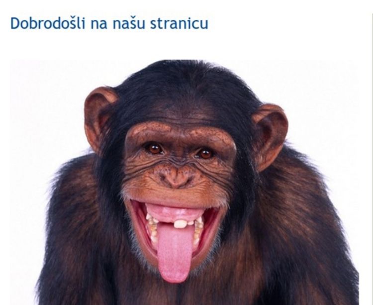 Majmun na stranici Federalne uprave za inspekcijske poslove