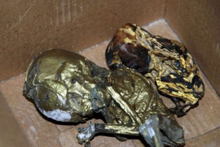 Policija zaplijenila šest spaljenih fetusa umotanih u zlatne listiće
