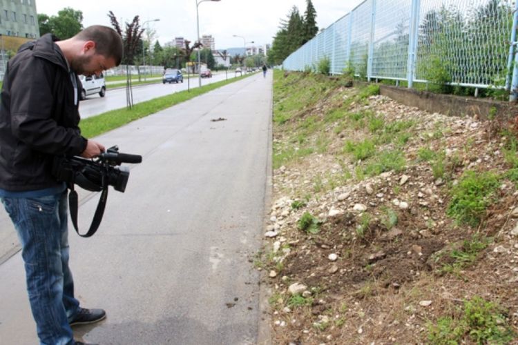 Počupali sadnice jer smetaju kablovima