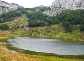 Danas Svjetski dan životne sredine
