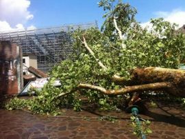 Tornado poharao područje Venecije, šteta oko milion evra, nema ...